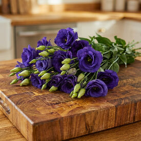 Rosita 2 Sapphire, (F1) Lisianthus Seeds